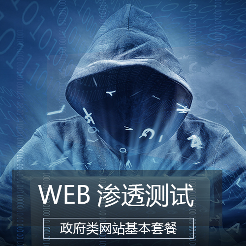 web渗透测试政府类网站基本套餐