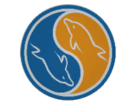 RDS(Mysql5.6)同步到ECS自建Mysql5.7服务