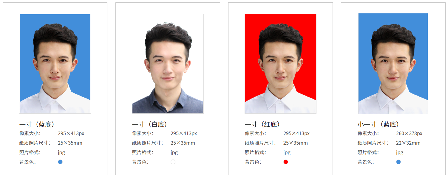 传入一张照片,返回证件照,和对应规格检测结果.