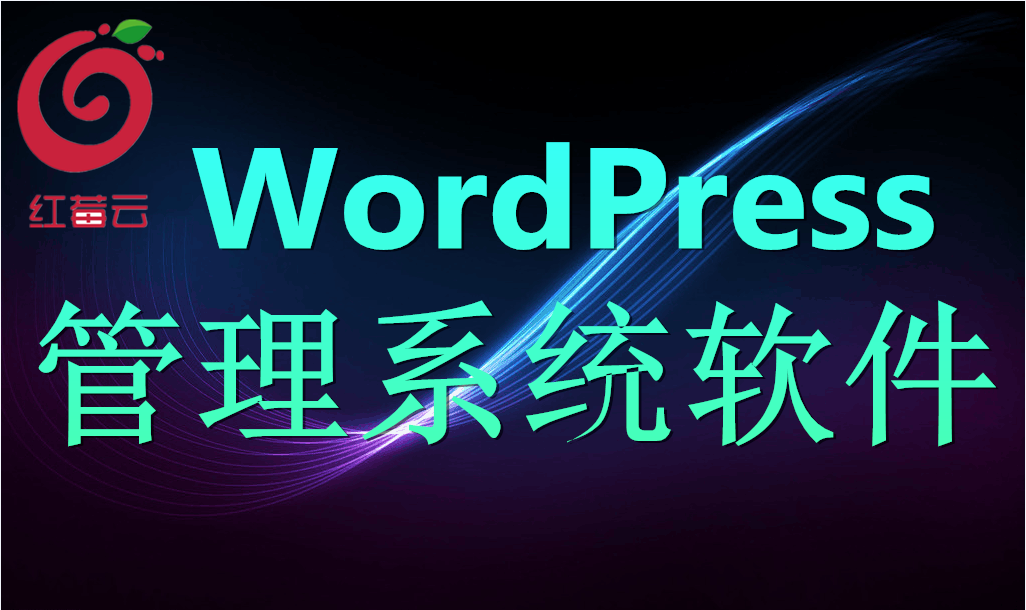 广州红莓云.管理系统软件(WordPress)-logo