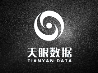 【天眼<em>数据</em>】详情版运营商手机三要素实名认证(三网合<em>一</em>)
