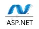 ASP.NET运行环境（SQL 2005 SP4安全优化）