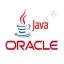 Oracle11G11.2.0.4（JAVA运行环境）