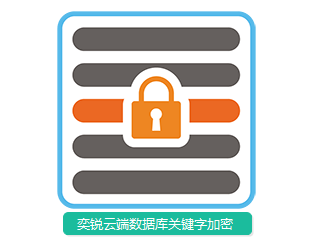 奕锐云端数据加密服务(数据库关键字加密)