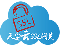天安云SSL网关