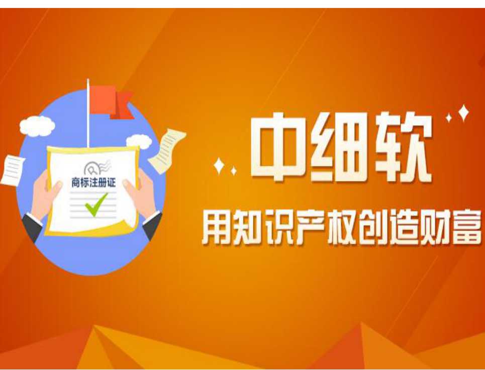 中细软·国内普通商标注册