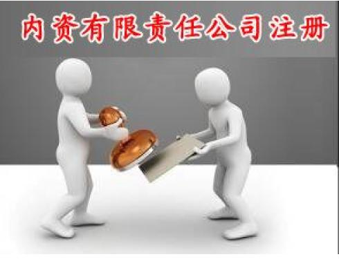 内资有限责任公司注册(不包含地址)