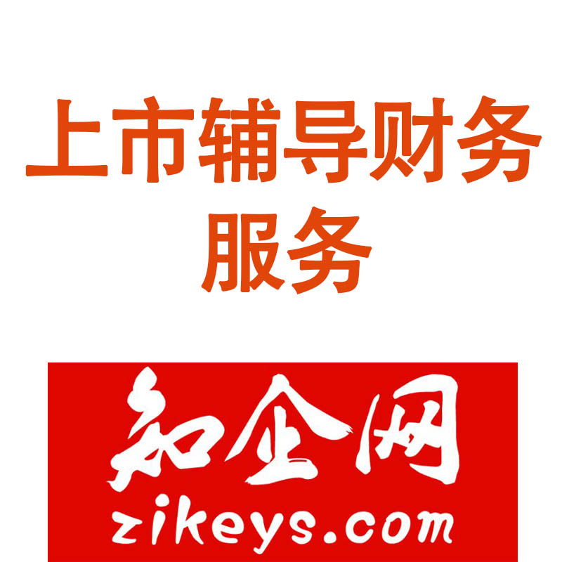 上市辅导财务服务
