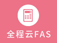 云会计 FAS(中小型企业财务必备)
