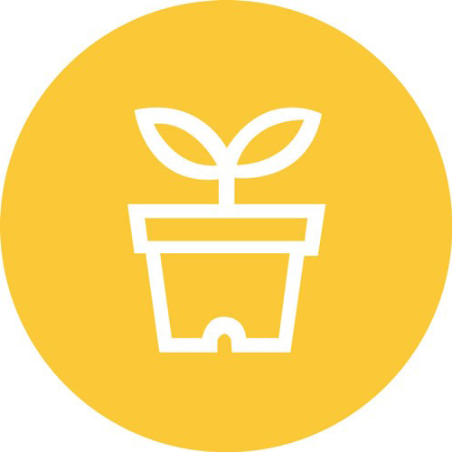全国花卉鸟鱼虫市场位置数据