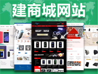 【服务领先 14天不满可退】外贸商城B2C购物网站 B2B批发网站制作