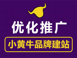 营销网站建设/网站优化/SEO优化推广/关键词优化排名【小黄牛品牌营销推广】