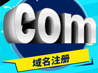 英文域名注册 国际域名购买 网站域名申请 企业域名认证.com .cn