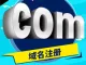 英文域名注册 国际域名购买 网站域名申请 企业域名认证.com .cn