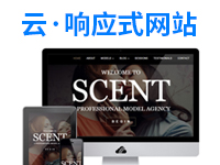 【云·响应式网站建设】企业品牌网站制作 展示型官网 经济实惠