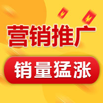 瑞蚁 营销推广 产品优化 产品推广 SEO搜索引擎优化排名 搜索引擎推广【超低价】