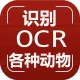 【图像识别OCR】动物识别