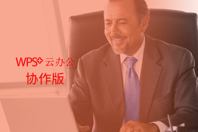 WPS金山WPS+协作版 Office 协同办公 云存储 国产办公软件