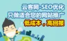 【经济版】云客网-seo网站优化企业版-对症下药，让您少花钱、多办事