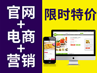 【官网+电商】高品质完美展示,营销型网站,在线支付,客户管理,活动促销
