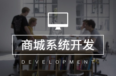 独立部署-电商系统/商城定制开发/APP定制开发/电商平台建设
