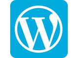 WordPress 全面维护服务(支持中英文)