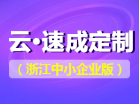 云·速成定制(浙江中小企业版)