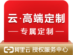 网站代维护服务
