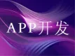 APP定制开发