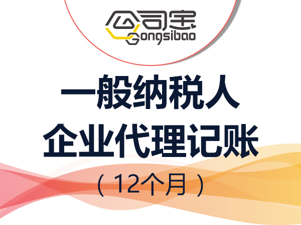 一般纳税人企业代理记账(12个月)