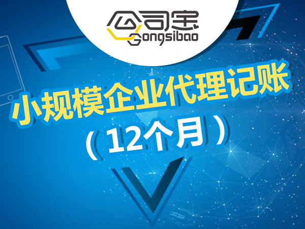 小规模代理记账(12个月)