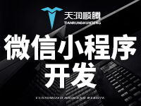 【天润顺腾+小程序】微信商城|公众号微商城|二级级分销系统-商城网站系统开发建设制作【可定制，提供源码】