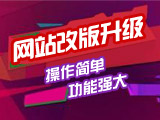 网站改版服务(含数据迁移)(展示型网站)
