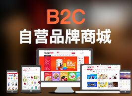 商之翼-B2C商城系统【多渠道、多场景的线上零售商城】