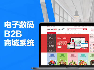 电子数码行业B2B商城系统