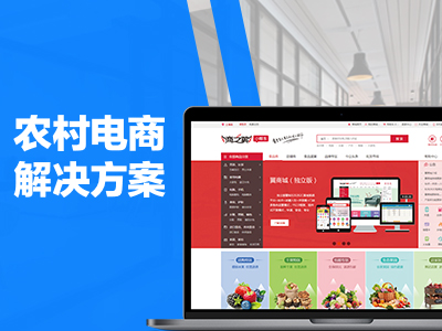 农村电商解决方案
