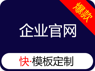 企业官网·模板定制【快速搭建,设计师替换,最快24小时上线】