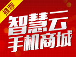 智慧云·手机商城【9元建站专供,购买后可直接联系客服手动开通】